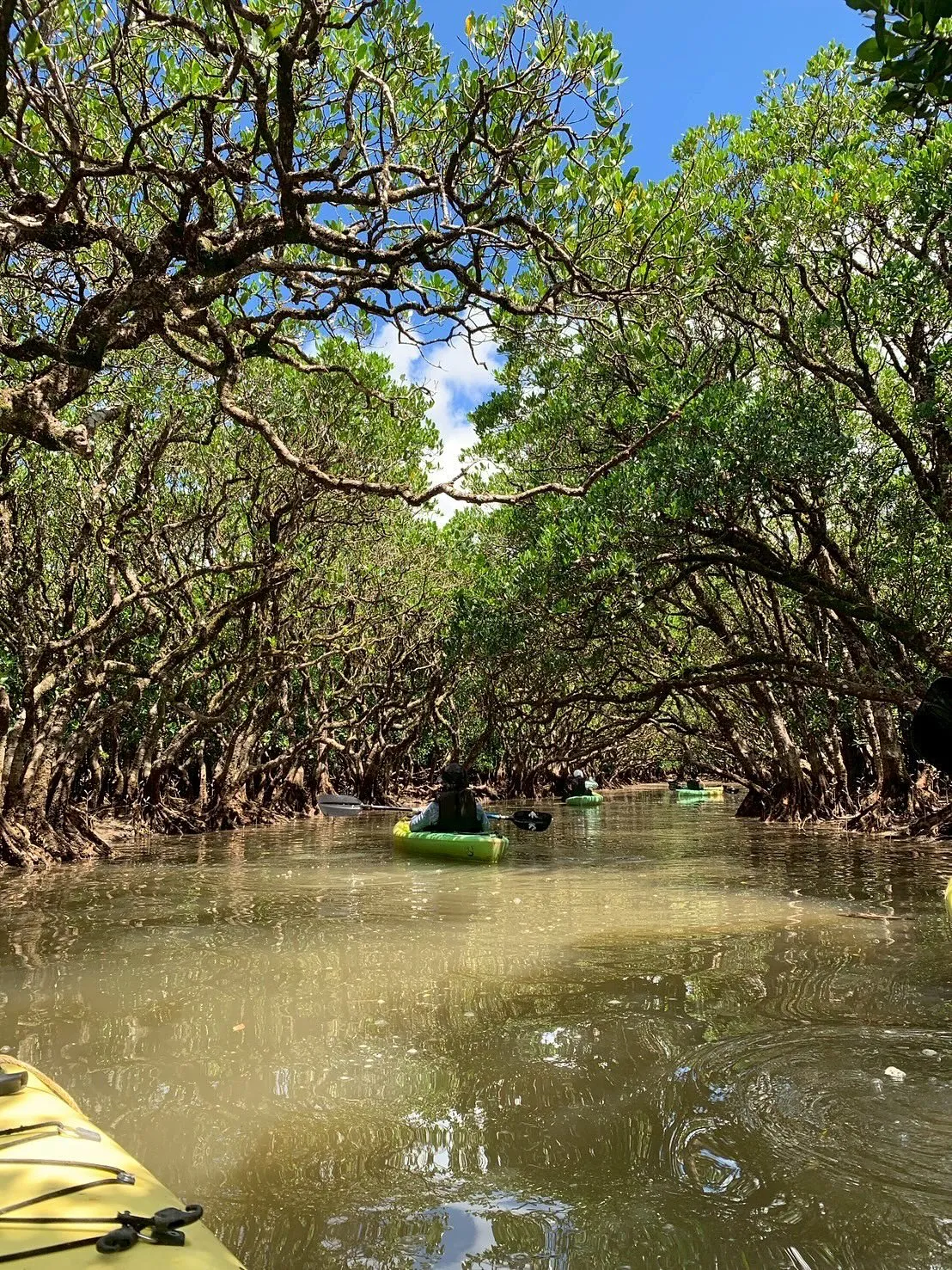 8月30日(土)〜9月1日(月)